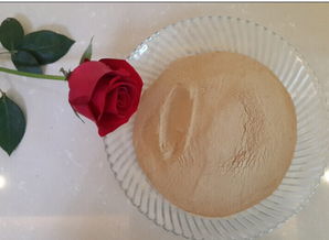 廠家直供優(yōu)質(zhì)啤酒酵母粉 水產(chǎn)養(yǎng)殖與動物飼料的天然營養(yǎng)選擇